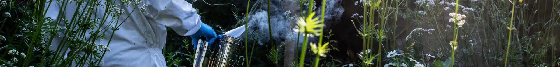 Insecticide Ecologice